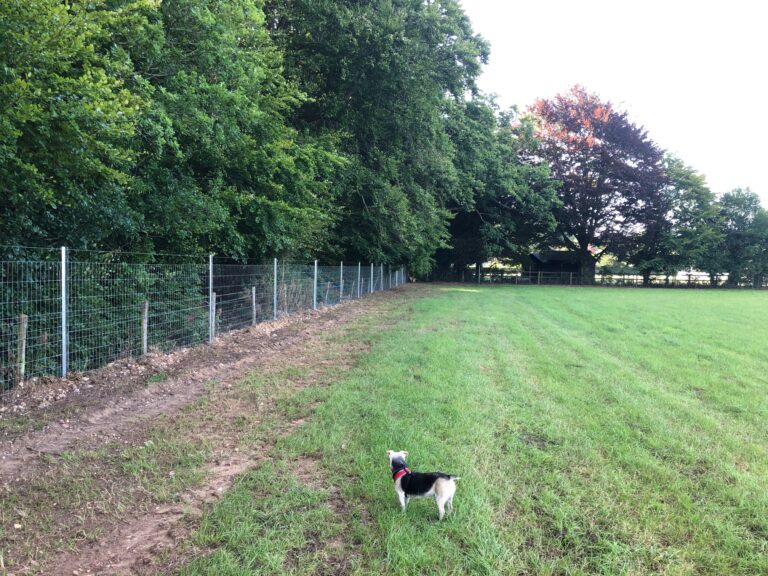 1663 97e0995e3234c354ae978b207d478f48 1 768x576