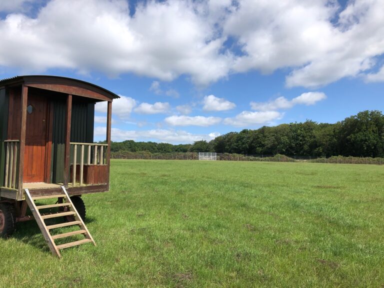 1663 b204f63d9baa7997fa0bcc8cba92bd71 1 768x576