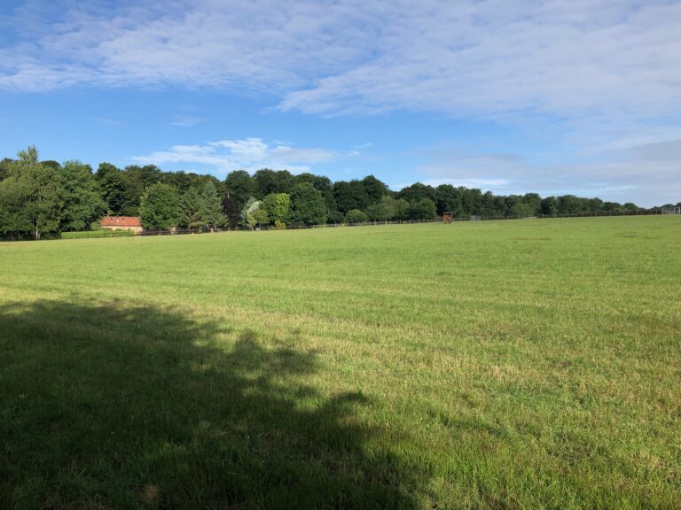 1663 defa4479dc60c651b157a81994656fc3 1 768x576