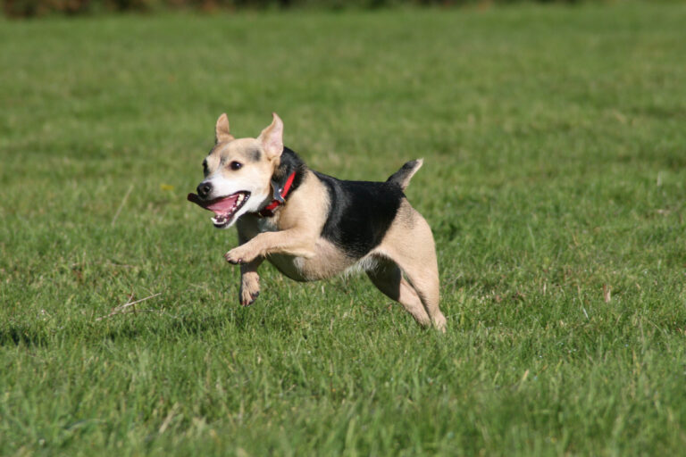 1663 e1e4c3e4006dde07ae0897e6aa7cc3a1 1 768x512