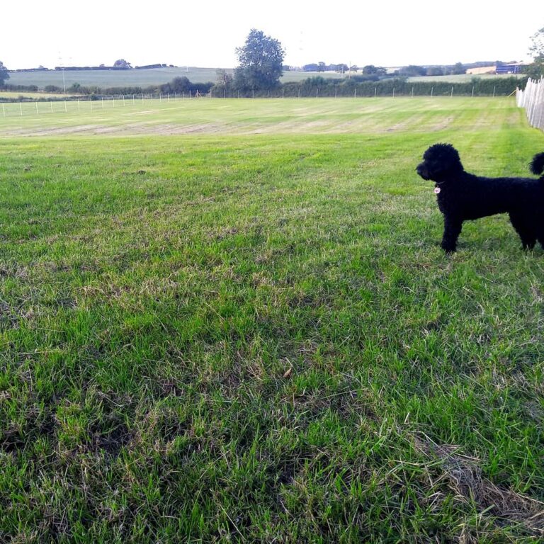 1664 2e0b0bbe7fbdd2ee8a959f037e4ac936 1 768x768