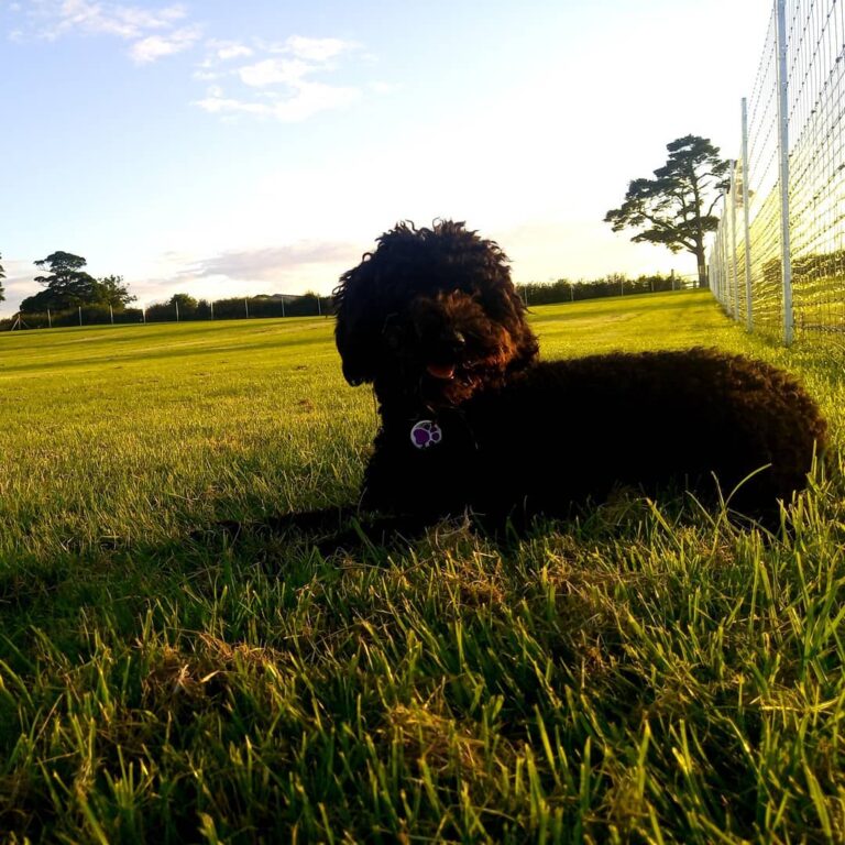 1664 95cb3d4385c34c9f9f15c821c46ace97 1 768x768