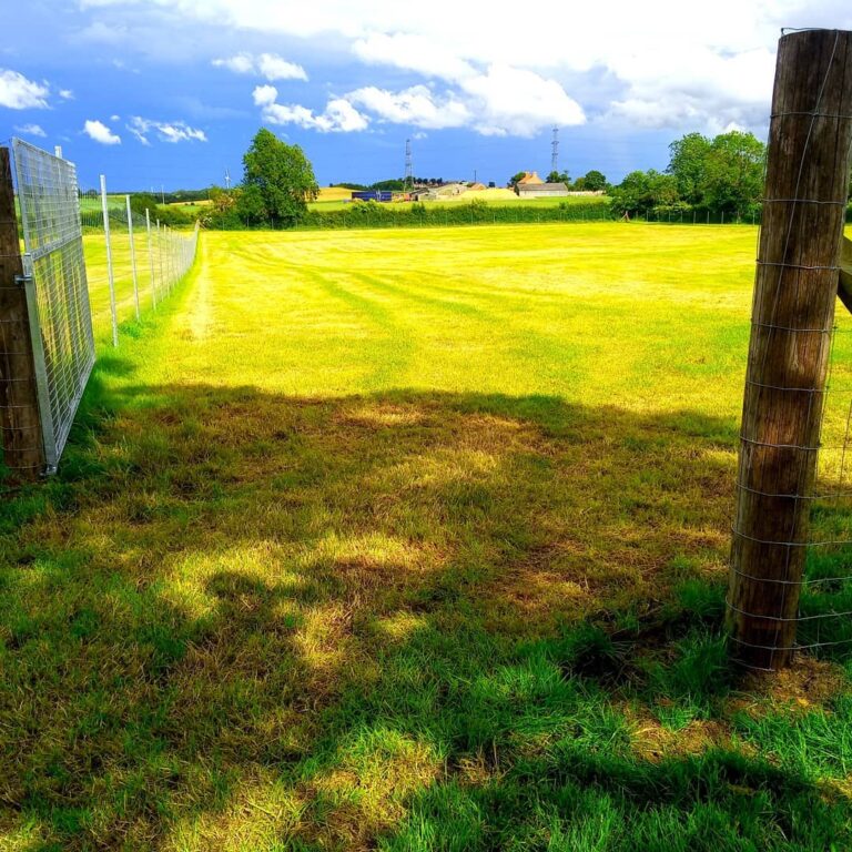 1664 e755e13a264a4e9e6959f49959199e55 1 768x768