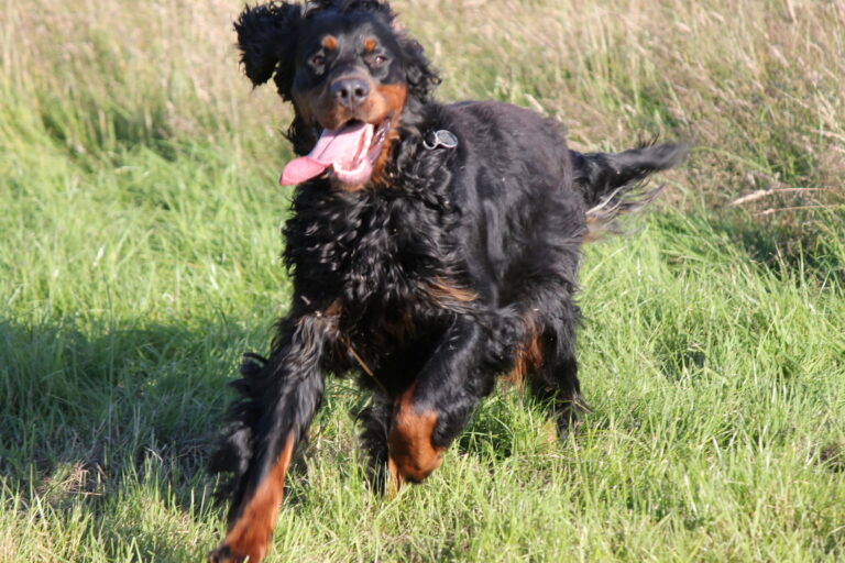 1665 45bd19042f3e06e6ad1a593653e2fd3c 1 scaled 768x512