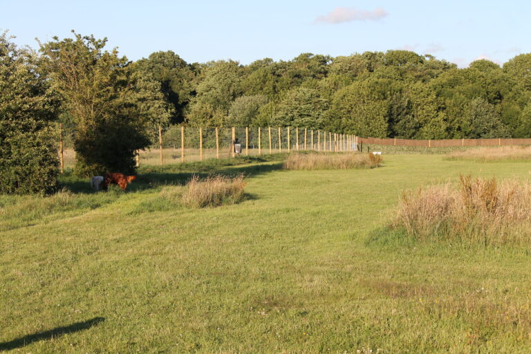 1665 b424ff7b9911c823439a8b32dffb3043 1 768x512