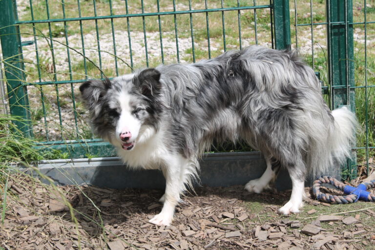 1666 559942824c325e71cd52bd635d2d1566 1 768x512