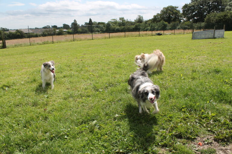 1666 6689b59060f69f6b341214d68e2d9614 1 768x512