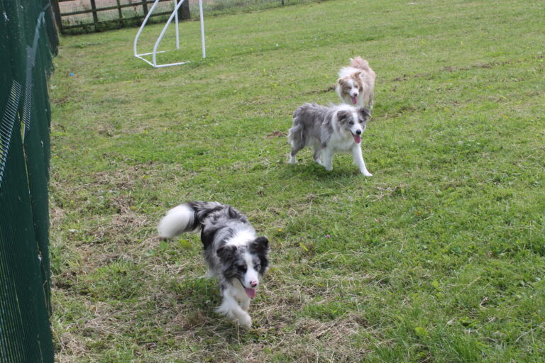 1666 a551f6c5102d4ac20e0f90b3bdd3a057 1 768x512