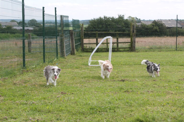 1666 cabe232a481a2ecc9475a5fb4d142e77 1 768x512