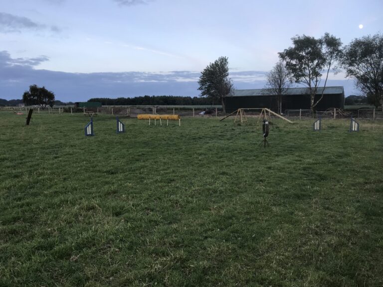 1667 d9fa95b0c6681f8a7af2f5c0c8719e39 1 scaled 768x576