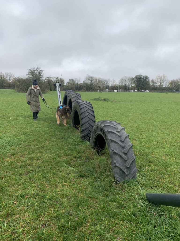 1669 4248b0e86179fe45de56c895eb6857d7 1 768x1024