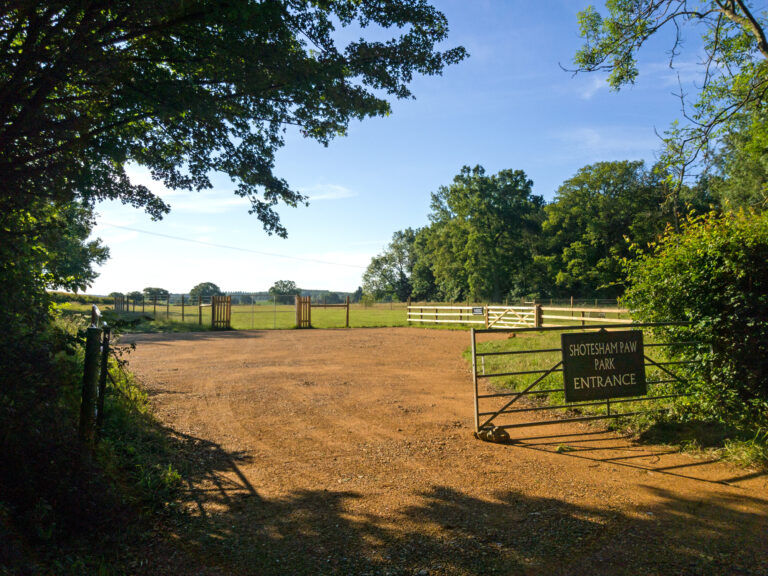 1675 f56ebde97173d276b6240c64c2669459 1 768x576