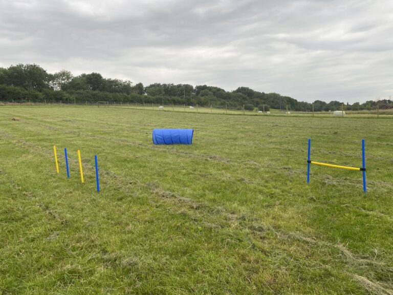 1676 3eebc84cbf2568b62e794f5f64a9fa06 1 768x576