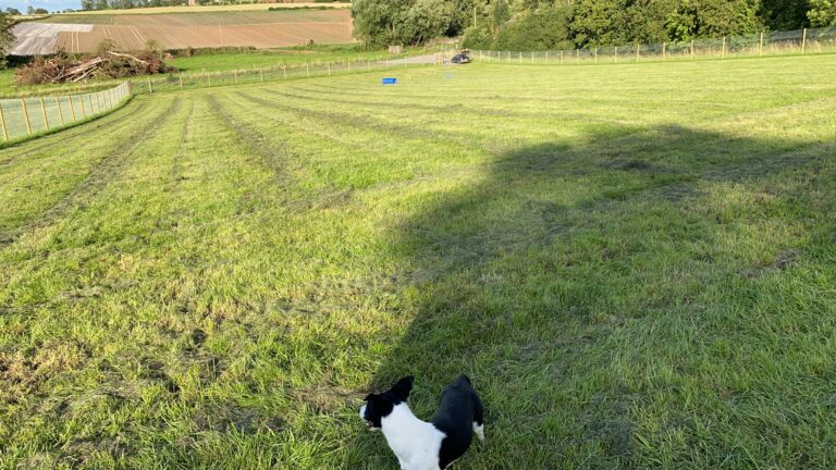 1676 88863de6ec4c9f44af98c19a2c19baf9 1 768x432