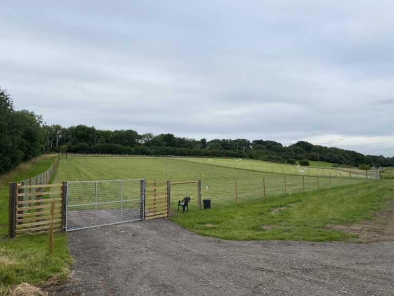 1676 c6cea659ace547db7173f5ff613d820b 1 768x576