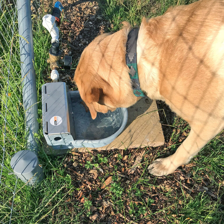 1680 334d77040a68fe3de36deef300d77059 1 768x768