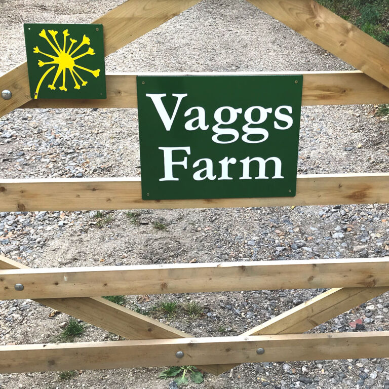 1680 42c2315587c23e81efca424947ee070f 1 768x768