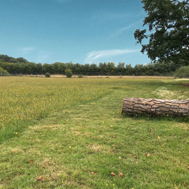 1680 5f51a985c576521b5eccc17e3f4d8444 1 768x768