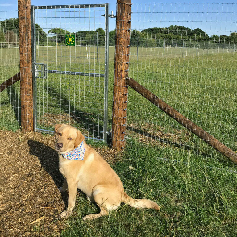 1680 824cbefdbe31b021177af47a69b4c083 1 768x768