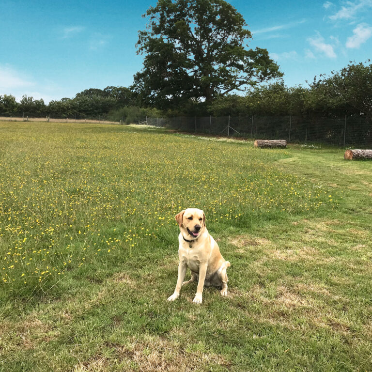 1680 cd64134a9b9f40b1f5836718a823aaee 1 768x768