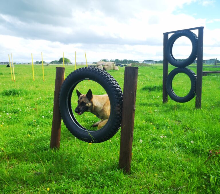 1685 4e3bf1a2476fbeca87a1d9c856de59ef 1 768x678