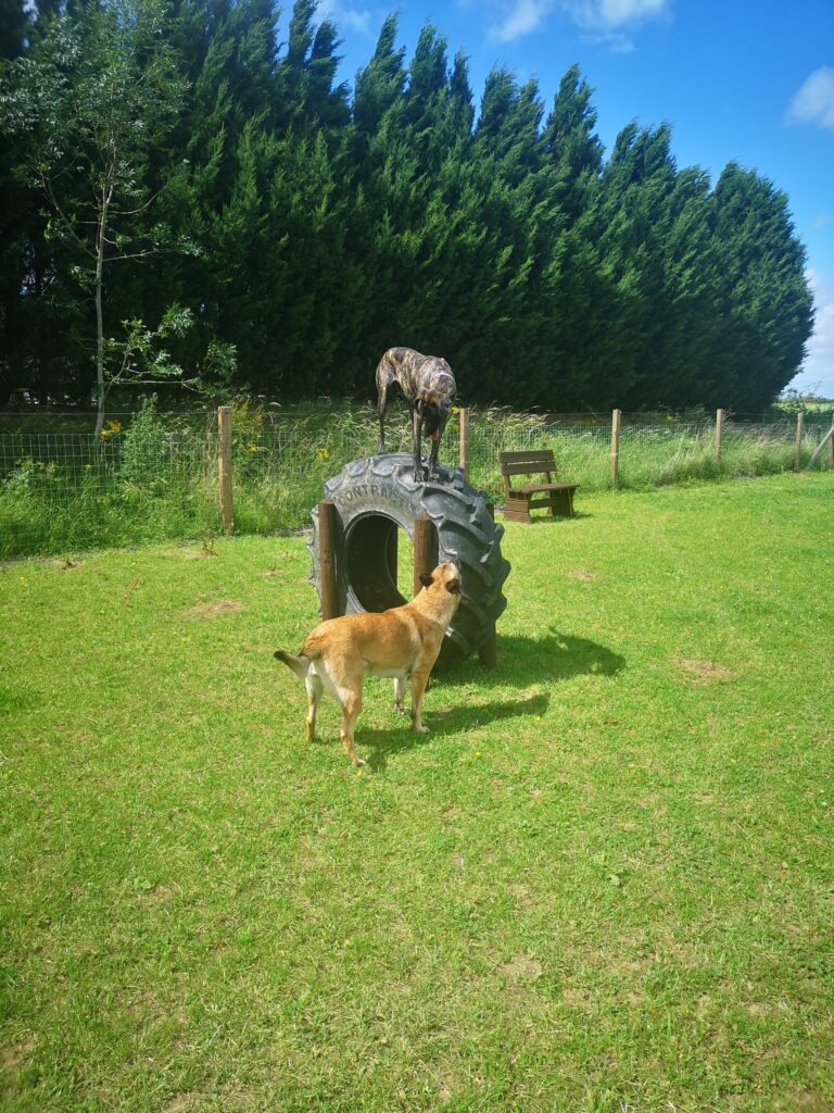 1685 c9dd770f81d6d011821f9383e2d6fe34 1 768x1024