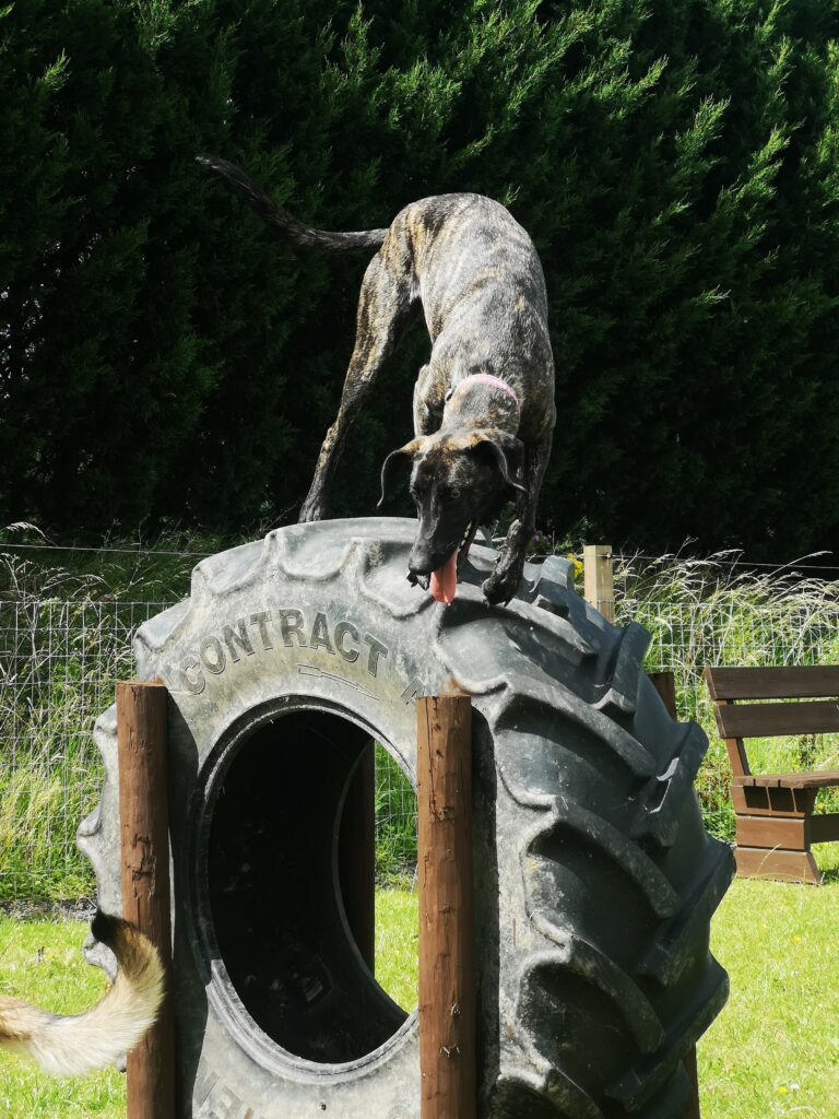 1685 d79513aeb50c56e993b3ecbf93bc31f5 1 768x1024