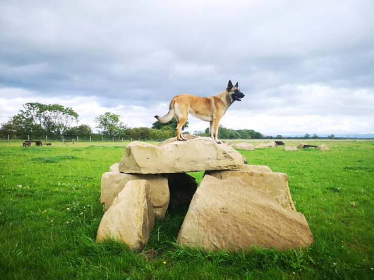 1685 e45498761e8719700d5526345eae9185 1 768x576