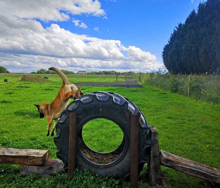 1685 f5f25f3e6d041fbb4ca9d1db6b7d3ad8 1 768x656