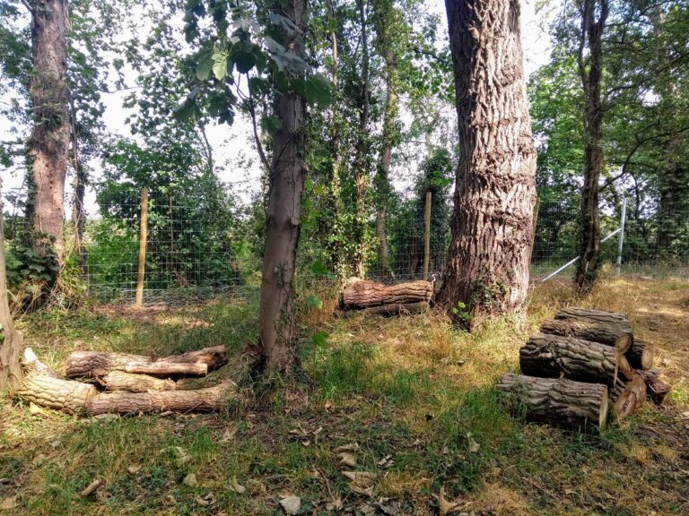 1687 124f18628d1b5effcdf00e7d6861f4a9 1 768x576