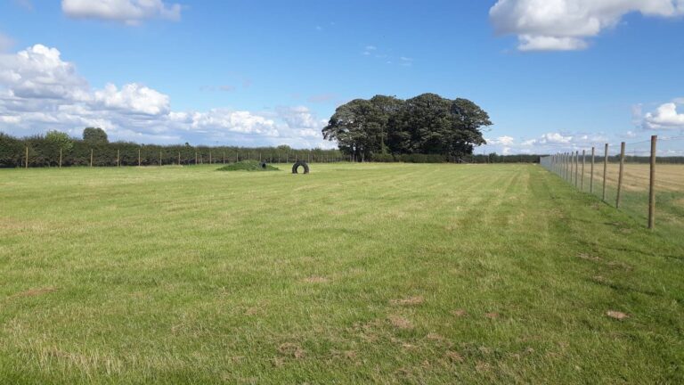 1687 13c64cf3a24dc44e9c1ec265cdc8ef7f 1 768x432