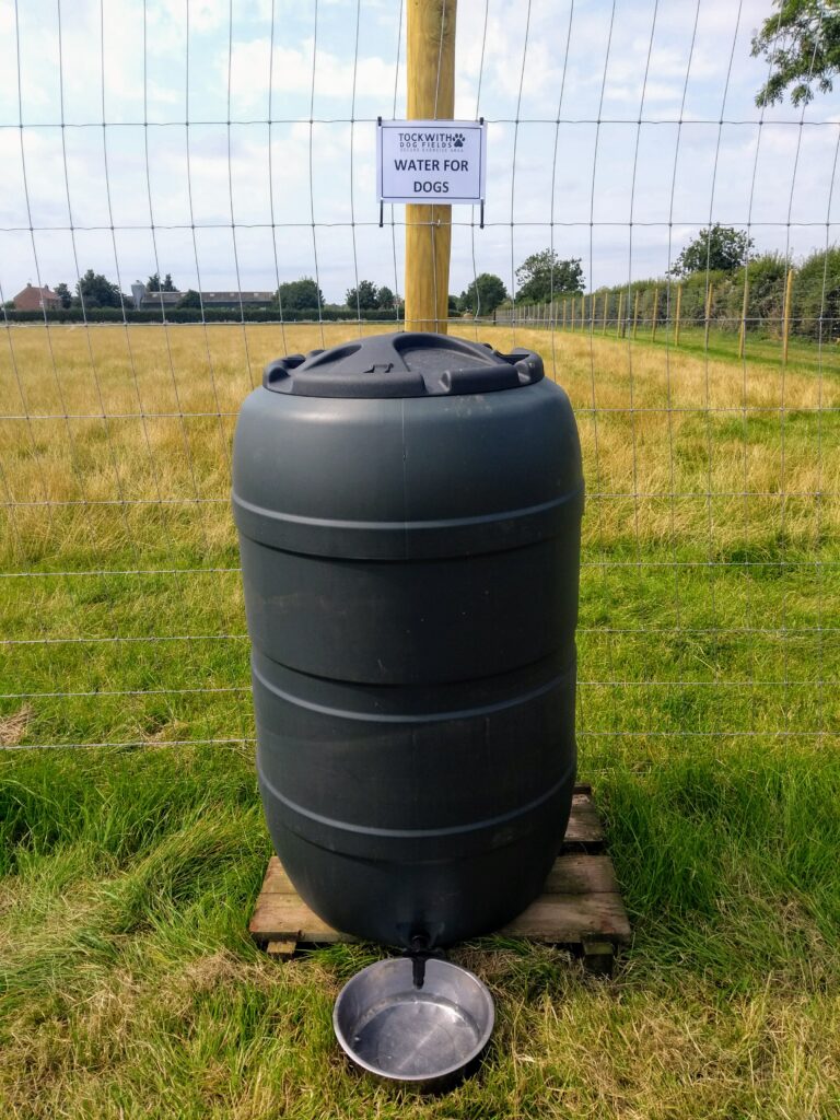 1687 ed231bf0f78ee441515106d72f3ce949 1 768x1024