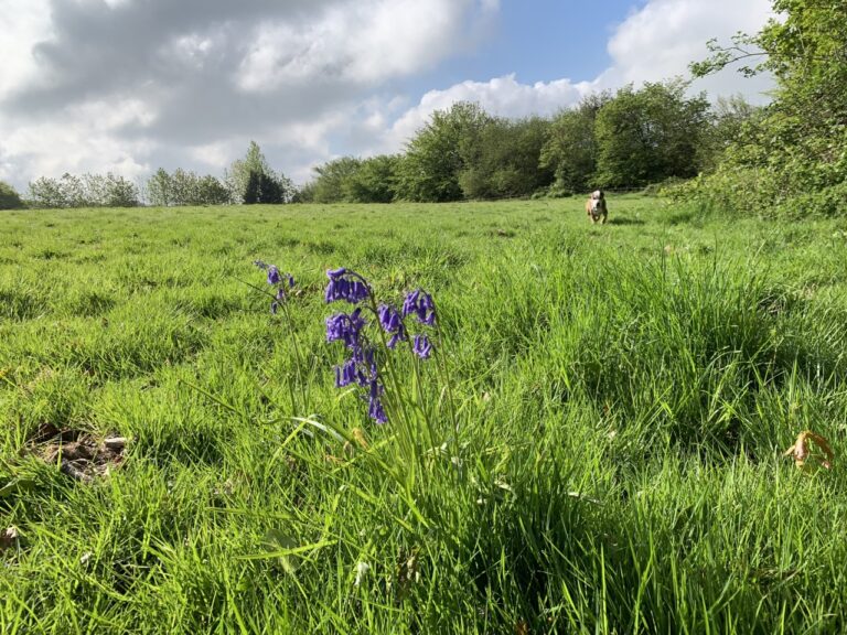 1688 5730972b6056ee3c2fb464e1f3f4f5d6 1 768x576