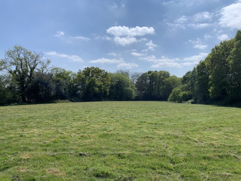 1688 6661bb3ca974d940d5b8e4b83224e2b7 1 768x576