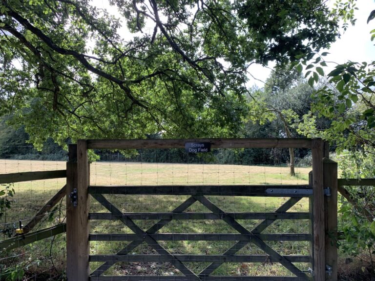 1688 fd13512ac7fa1d383ed8af6733e2d520 1 768x576