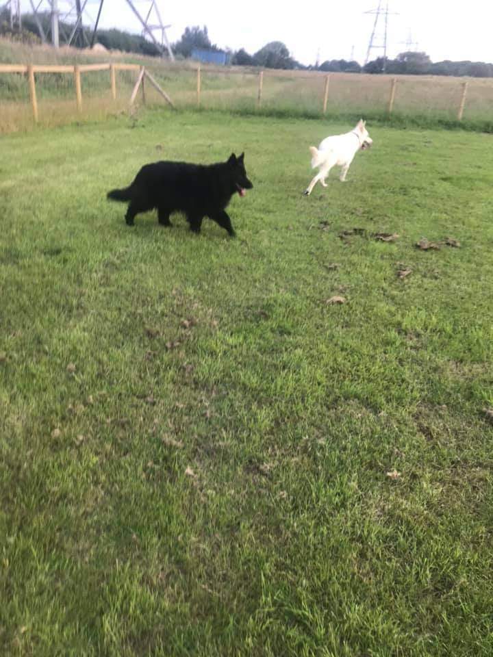 1690 12838338c3770861a0f7e58d99b4ade6 1