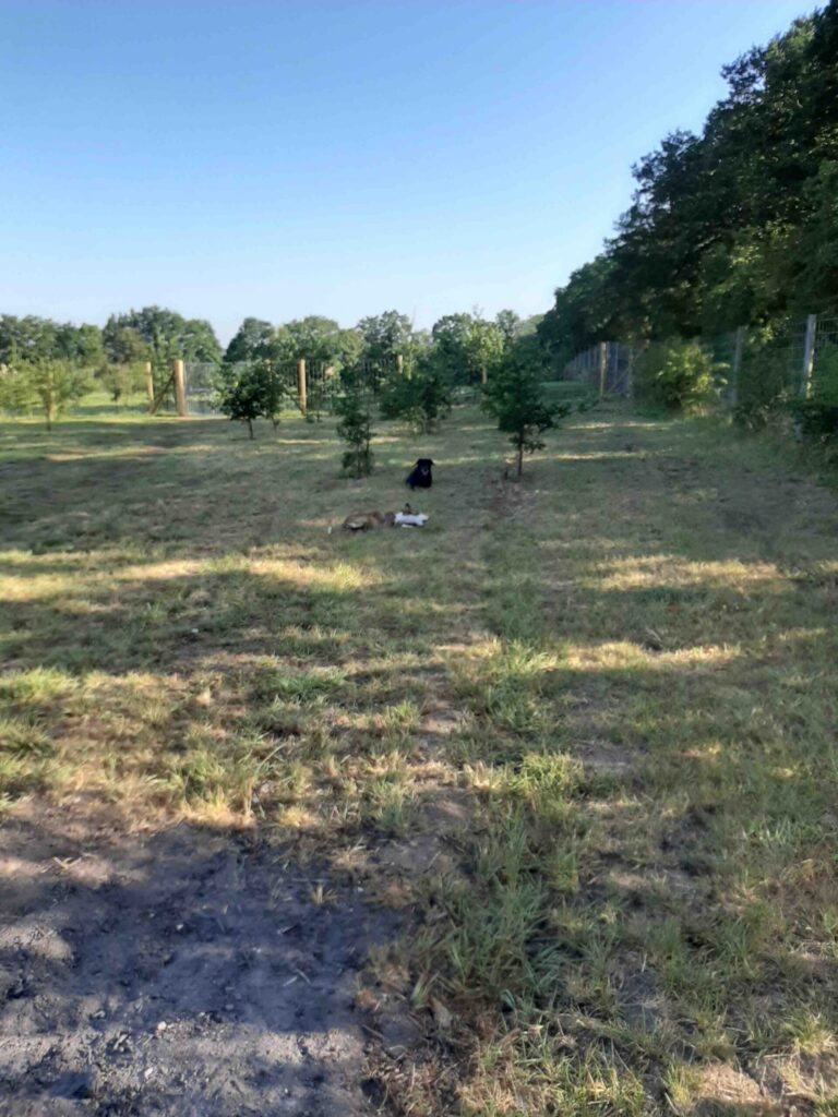 1694 9a16c29ae381aa9ea7c3f4aeef988130 1 scaled 768x1024