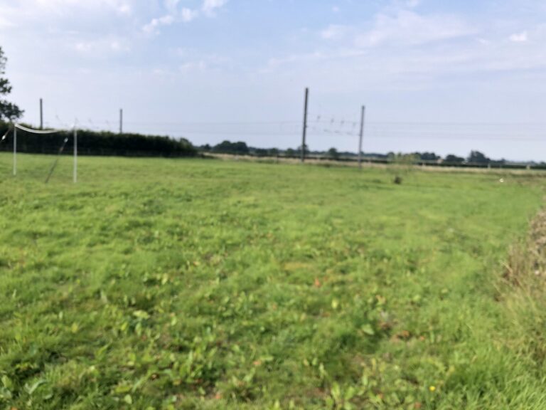 1696 972b0c7ee30c8d61d4c3deca3e7f0edb 1 scaled 768x576