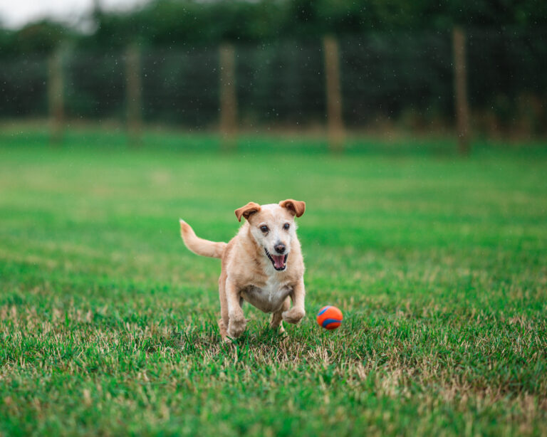 1697 48b8c8bf069a5dc3390dbc22ed6a27fe 1 768x614