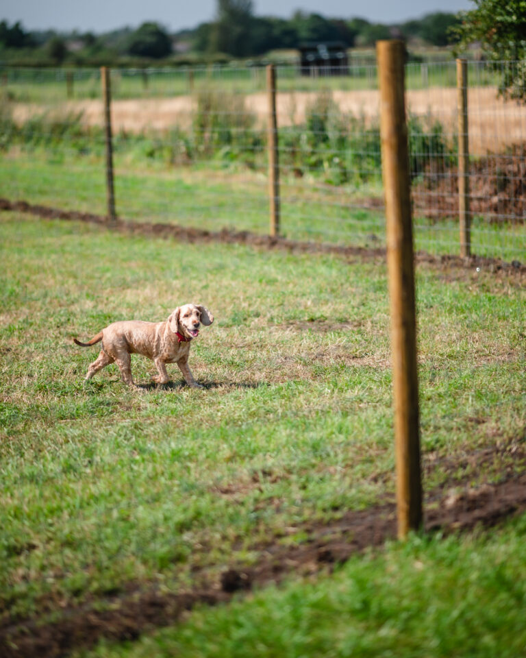 1697 4a8f280f3170195ccb74e8a5e50801b9 1 768x960