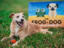 1697 4d5afbb4bdb39b8254f8e4ab0ee52d65 1