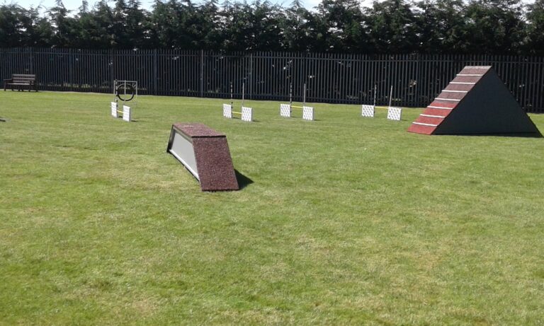 1698 070b6908c799fa72834e2e25596219f1 1 768x461