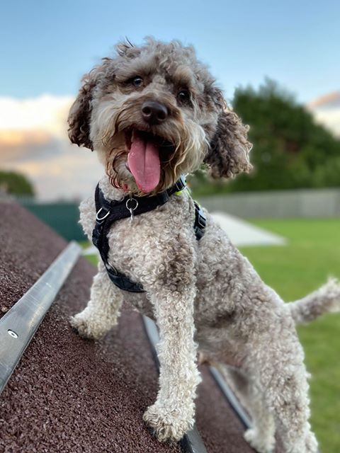 1698 0cd64db90548a6471287dceb79f26d5e 1