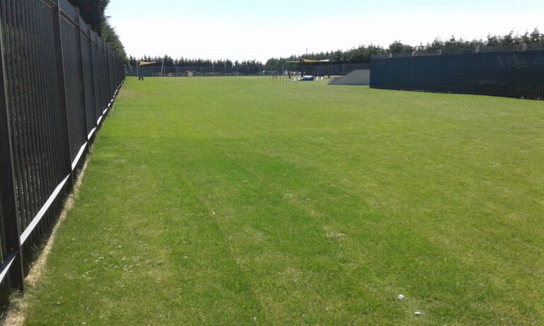 1698 1afb744e73acbaf11193e3f7dec1d933 1 768x461