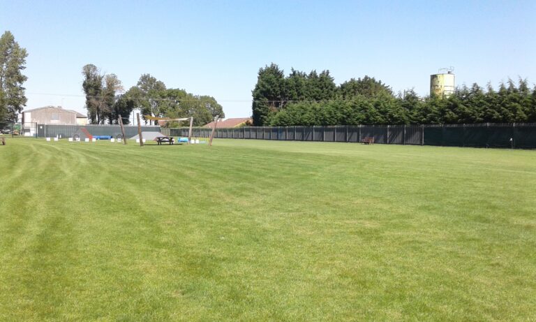 1698 2c4415a0c487d7f7588c3b156c97b2ad 1 768x461