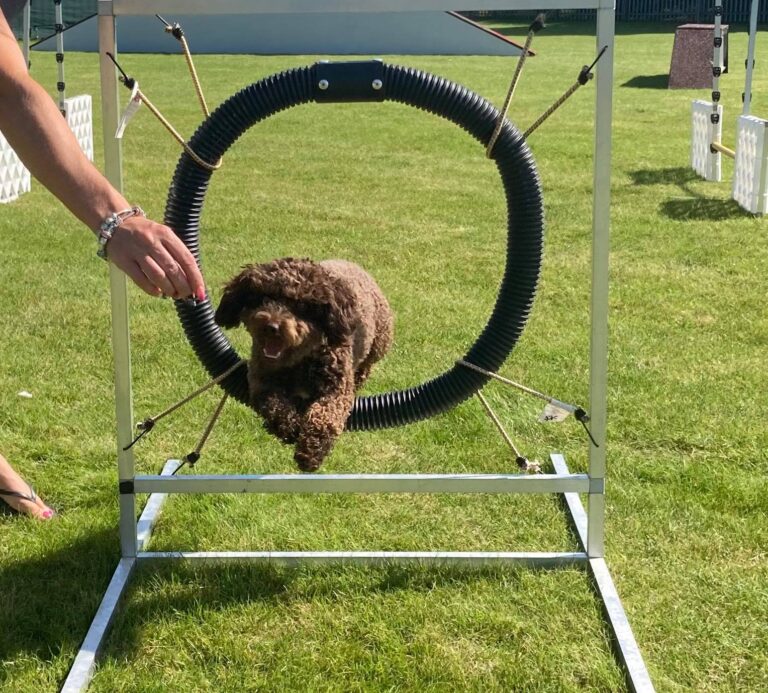 1698 3c9eed28b0f368f0472f06beb35f3554 1 768x693