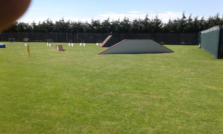 1698 4223844a6bfe072e4788f1990793ef6f 1 768x461