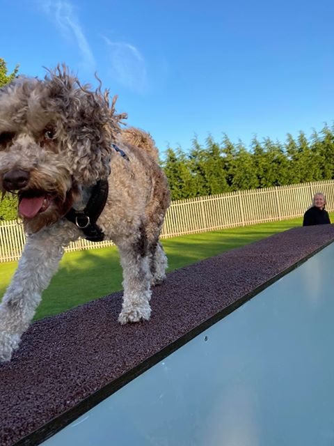 1698 5ef3d3d88f77820d60ec4dd54e4ea785 1