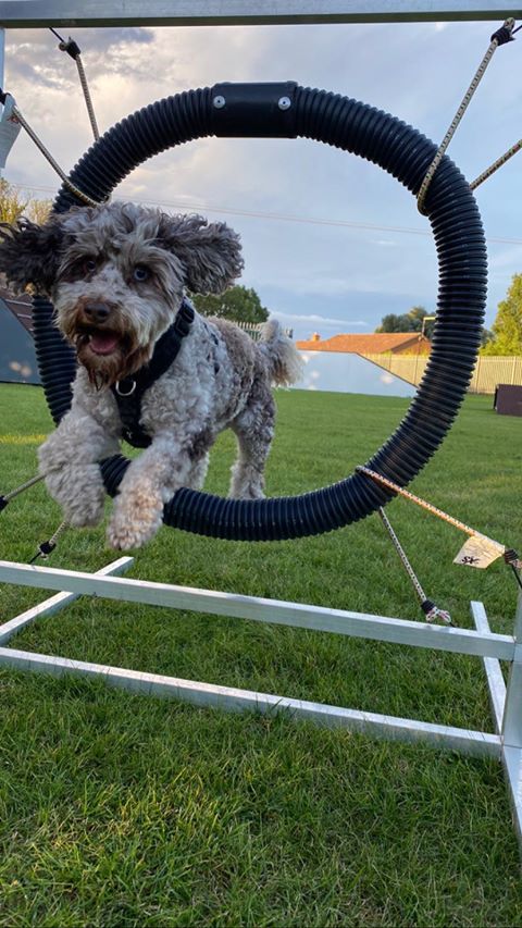 1698 5fb458a2753e9d69a3bf697fd028769b 1