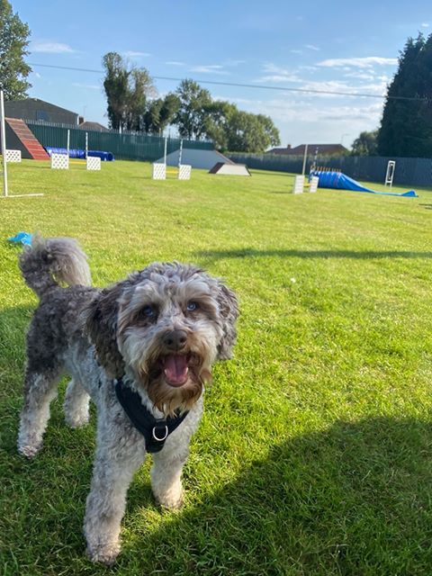 1698 68e58b9ac02021d64c2f50e9e83223b2 1